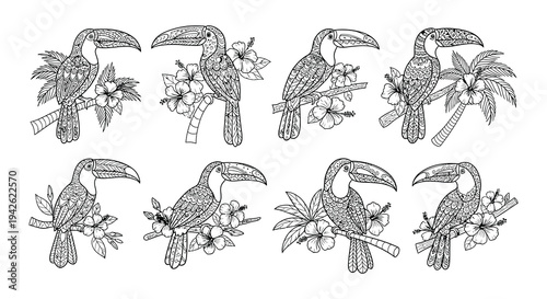 Stylized toucan illustrations with tropical flowers and foliage in black and white