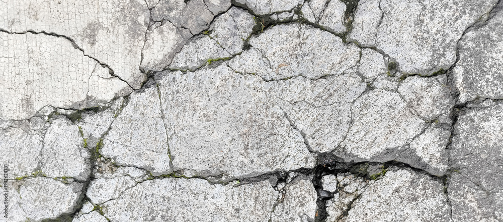 Obraz premium dry cracked soil