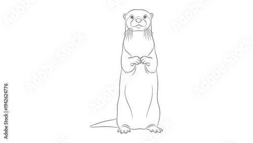 Otter Illustration: Detailed line art of an otter, its body and features meticulously outlined to bring it to life. 
