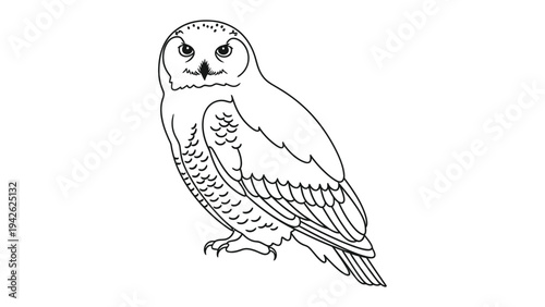 Wise Owl: A detailed drawing of an owl perched elegantly, with keen eyes and intricate feather details, illustrating wisdom and insight.