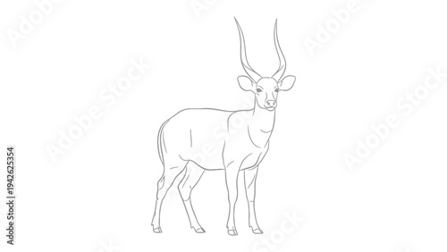 Elegant Antelope Silhouette: A sleek, minimalistic line drawing of an antelope against a plain backdrop, highlighting the graceful form and iconic horns of this majestic creature.