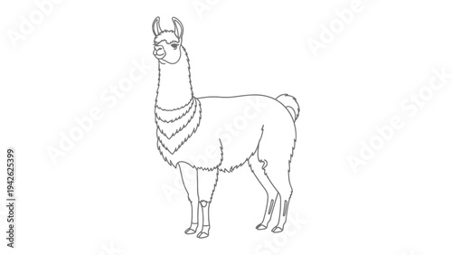 Llama Sketch: A detailed line drawing of a majestic llama, showcasing its distinctive features and elegant stance.