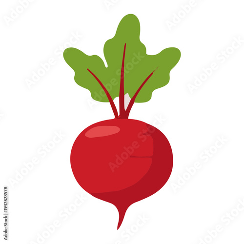 Isolated Beetroot Vegetable Icon