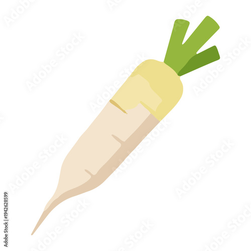 Daikon Radish Illustration