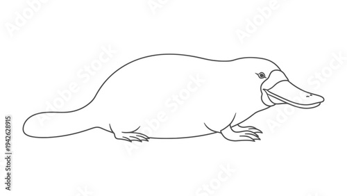 Outline of Platypus: An illustration of a platypus, a unique and fascinating semiaquatic mammal, in a minimalist style, perfect for education and design.