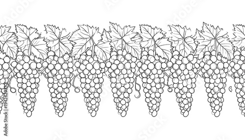 A linear black and white illustration depicts a repeating vine border with bunches of grapes, leaves, and tendrils