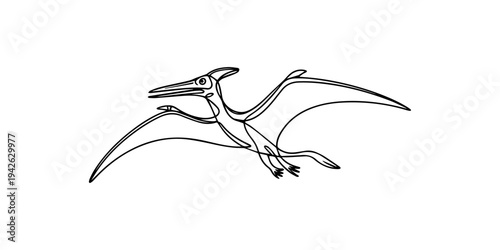 continuous one line drawing Vector flying pterosaur illustration