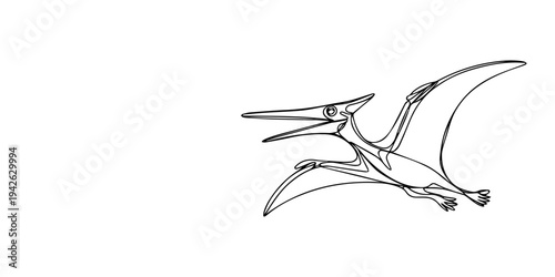 continuous one line drawing Vector flying pterosaur illustration