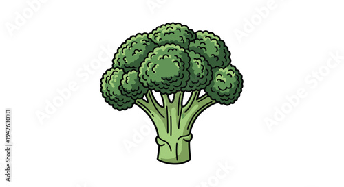 Illustration of a fresh green broccoli floret representing healthy nutrition and organic vegetables from the garden or supermarket.