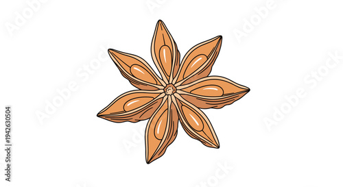 Single detailed star anise spice seed pod illustration with its characteristic eight-pointed star shape and brown color.