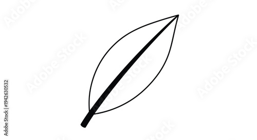 Basic black and white line drawing of a simple deciduous tree leaf with a central vein for nature and botanical themed design work.