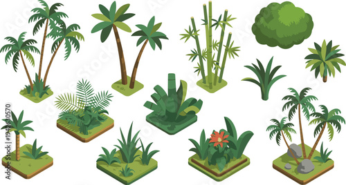 Isometric tropical plants set, palm trees, bamboo, jungle foliage, exotic greenery collection, nature landscape elements vector illustration
