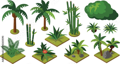 Isometric tropical plants collection, palm trees, bamboo, jungle bushes, exotic foliage elements, rainforest vegetation nature vector illustration set