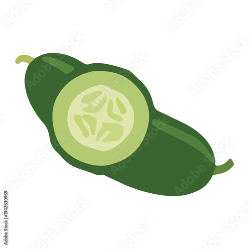 Cucumber Slice Illustration