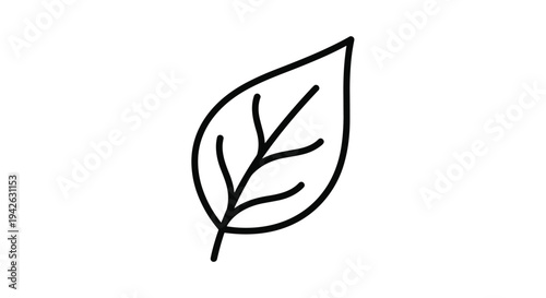 Basic black and white outline drawing of a simple deciduous leaf with a central vein suitable for coloring books or nature icons.