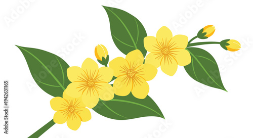 Beautiful vibrant illustration of a jasmine flowering branch with bright yellow blossoms and green leaves for floral design projects.