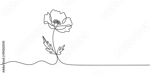 Poppy flowers Continuous line drawing. Minimalist modern art, hand draw one continuous line art Poppy flowers, Elegant single line art of beautiful flowers blossoming on a white background, Minimalist