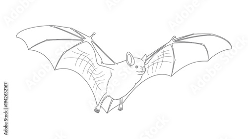 Sketch of a Flying Bat: An elegant black and white illustration of a bat soaring through the air, wings spread wide, capturing the essence of nocturnal flight and grace.