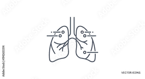 Line Art Illustration of Human Lungs with Medical Annotations.
