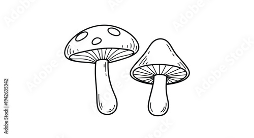 Simple black and white line drawing of two mushrooms of different sizes for nature themed coloring pages.