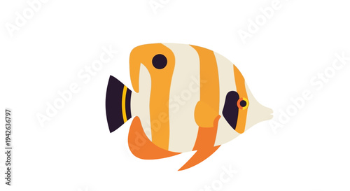 Orange and White Fish.