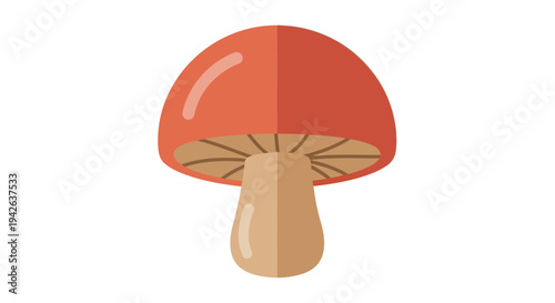 Red Mushroom Illustration.