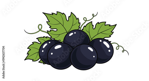 Cluster of ripe black currants with green leaves and curly vines depicted in a vibrant and colorful illustration style.