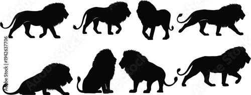 Collection of lion silhouettes in various poses