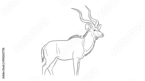 Elegant Kudu Sketch: A graceful kudu, depicted in a minimalist sketch, showcases its distinctive spiral horns and slender physique. It embodies the essence of the wild.