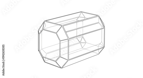 Intricate geometric wireframe drawing of a multifaceted crystal or transparent glass container with octagonal ends.