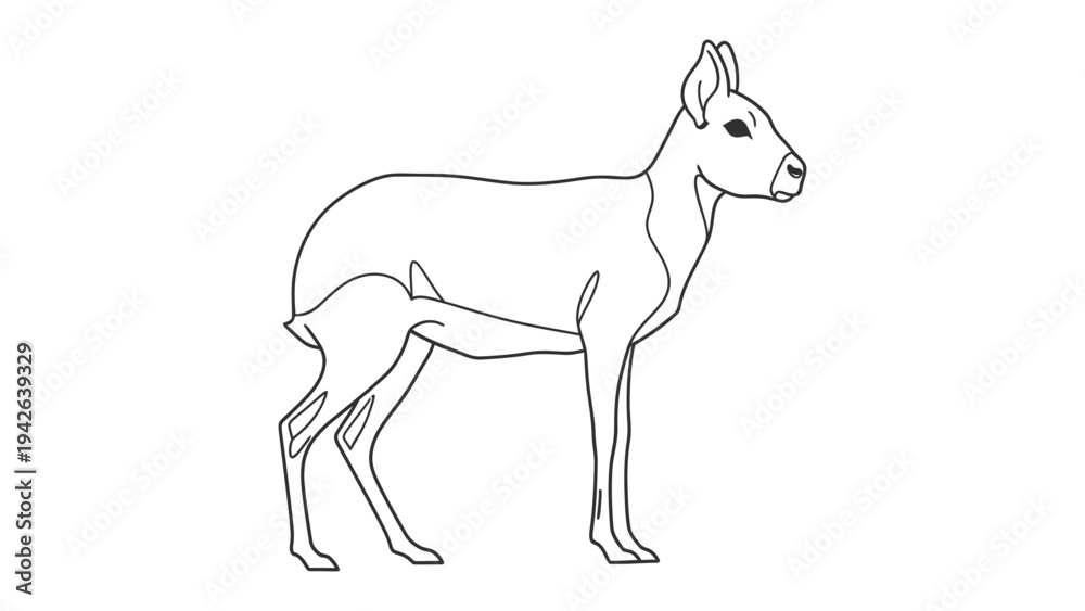 Obraz premium Patagonian Mara Drawing: A simple line drawing of a Patagonian Mara, a rabbit-like rodent with long legs and large ears, standing in profile.