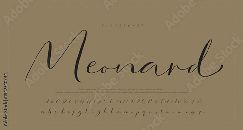 elegant handwritten font that captures a realistic signature style, great for personal logos and stationery. 