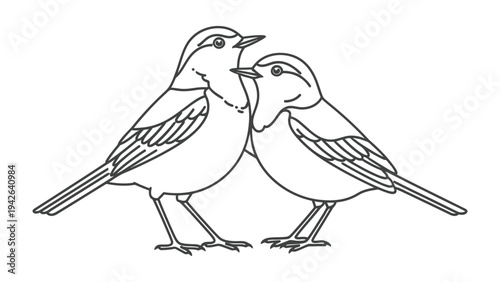 Lovebirds' Tender Embrace: Two birds, depicted with delicate lines, nestle closely, their forms conveying affection and companionship in a clean, simple style. 