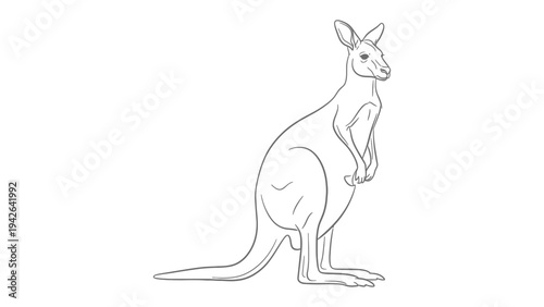 Monochrome Kangaroo: A minimalist black and white line art of a kangaroo, featuring intricate details of its form and posture. 
