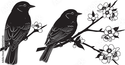 Two black birds sitting on a flowering tree branch