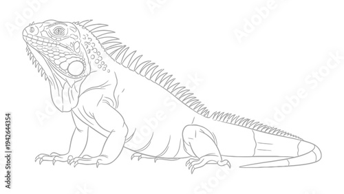 Iguana Line Art: A detailed line drawing of a majestic iguana, showcasing its textured scales, regal posture, and intricate details of nature's design.