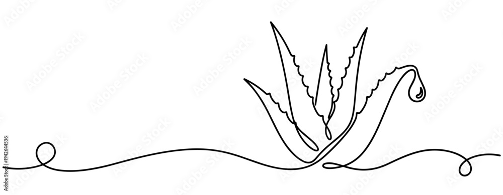 Naklejka premium Aloe vera plant with droplet in continuous line illustration. none editable strokes