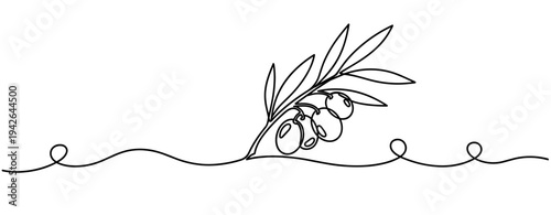 Olive branch with fruit lying on continuous line illustration. none editable strokes