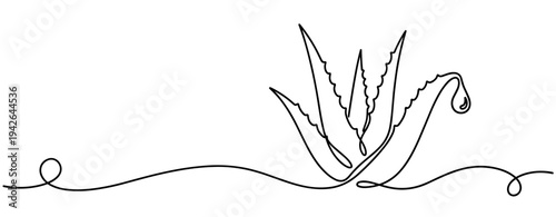 Aloe vera plant with droplet in continuous line illustration. none editable strokes