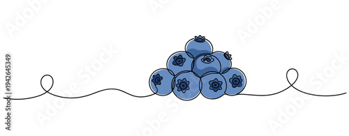 Pile of blueberries arranged on continuous line background