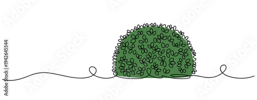 Green shrub rounded foliage sitting on white minimal background