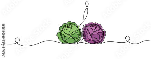 Two cabbage heads placed side by side on white background
