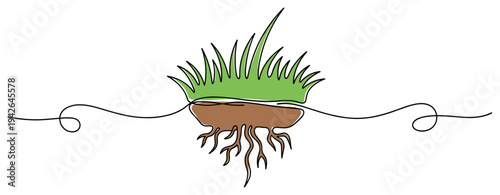 Grass clump with exposed roots and soil on white background