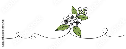 Blossom sprig lying on looping line in white background