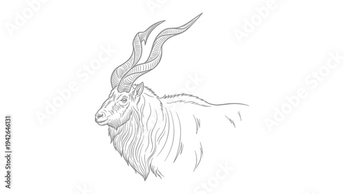 Elegant Sketch of an Antelope: A delicate artistic rendering of a majestic antelope, showcasing its intricate horns and serene gaze.