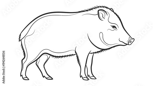 Wild Boar Outlined Illustration: A detailed black and white illustration of a wild boar standing confidently, its form precisely outlined.