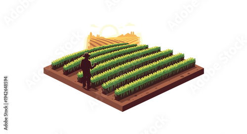 Farmer in vineyard at sunrise with green fields in isometric style