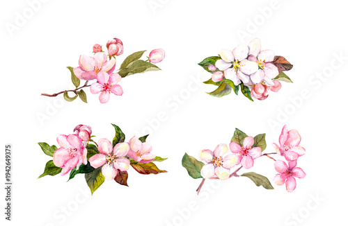 Watercolor spring blossom bouquet clipart set with flowers, buds and leaves isolated on white. For invitations, stationery, scrapbooking and branding.