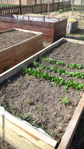 Garden scene with permaculture beds. Beautiful permaculture raised bed garden with flourishing veggies and herbs. Vertical shot