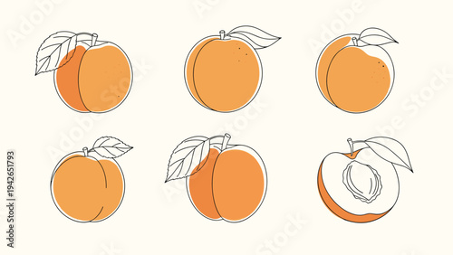 A set of six minimalist, hand-drawn illustrations of ripe apricots with leaves, including a halved fruit showing the pit, in a simple line art style.